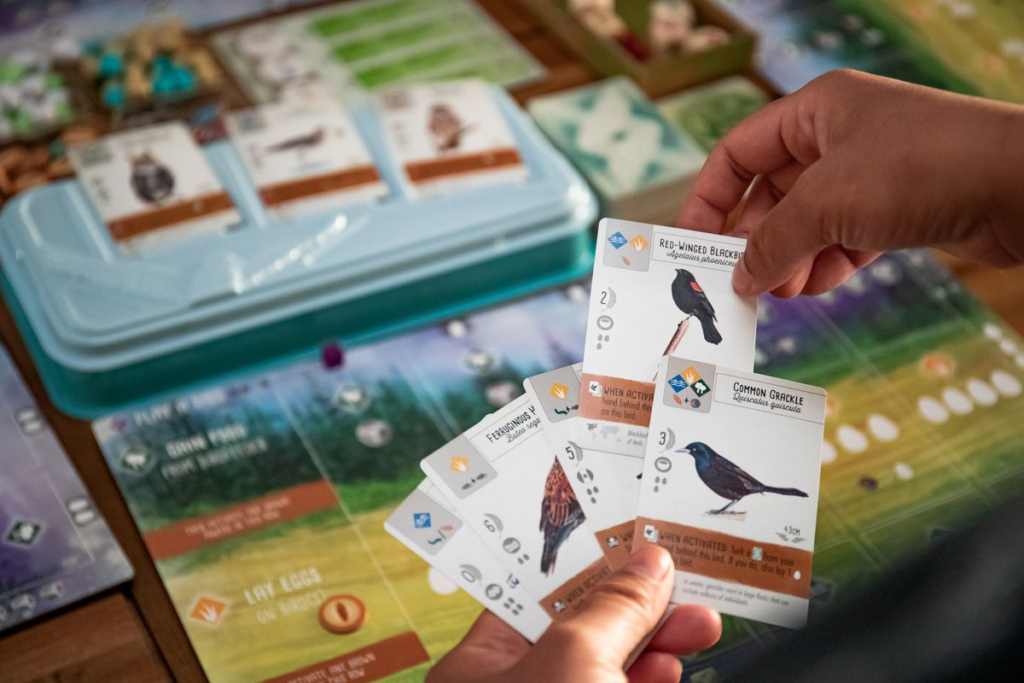 Wingspan kutu oyunundan bir görsel. Görselde üzerinde çeşitli kuş türleri bulunan kartlar mevcut.